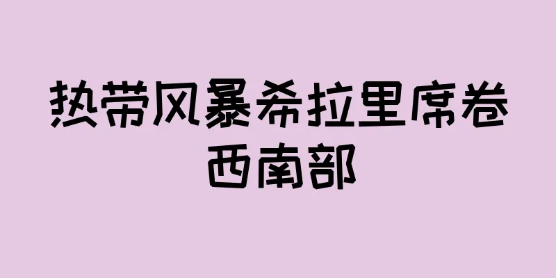 热带风暴希拉里席卷西南部