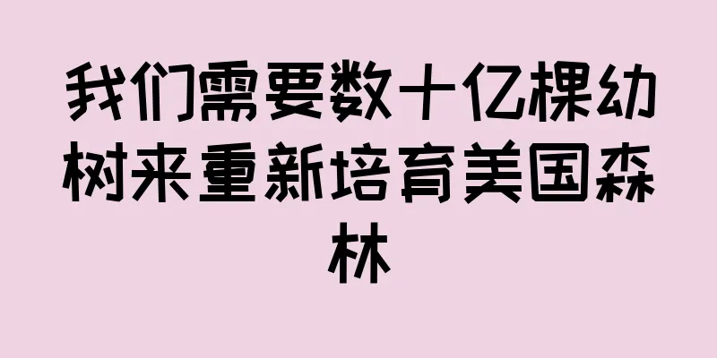 我们需要数十亿棵幼树来重新培育美国森林