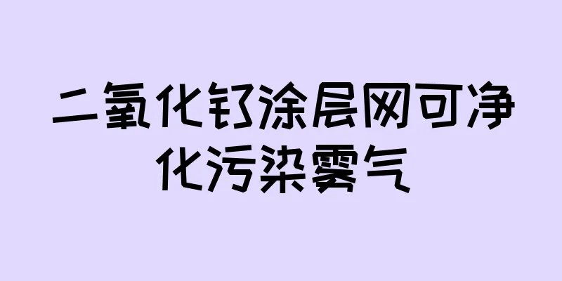 二氧化钛涂层网可净化污染雾气