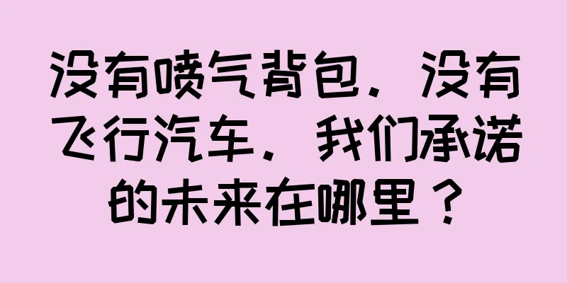 没有喷气背包。没有飞行汽车。我们承诺的未来在哪里？