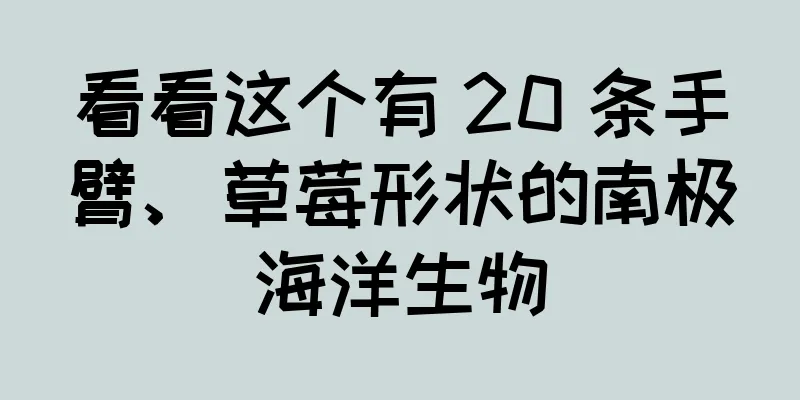 看看这个有 20 条手臂、草莓形状的南极海洋生物
