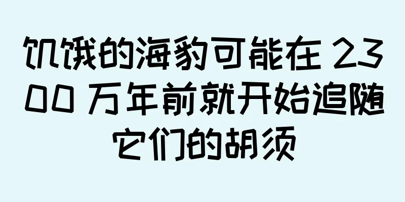 饥饿的海豹可能在 2300 万年前就开始追随它们的胡须