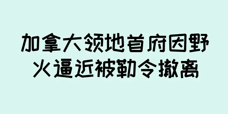 加拿大领地首府因野火逼近被勒令撤离