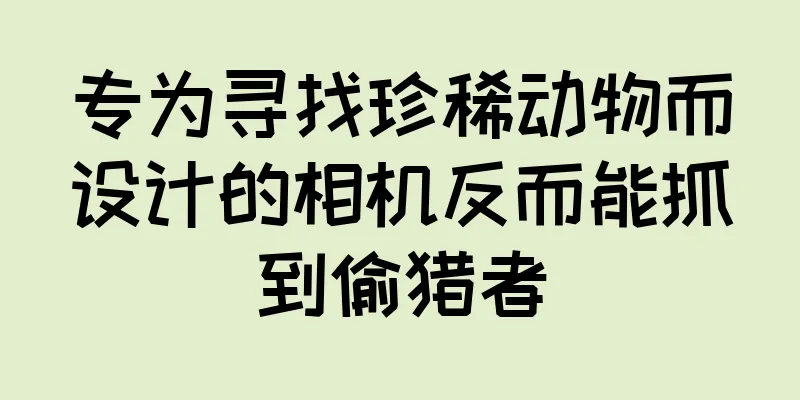 专为寻找珍稀动物而设计的相机反而能抓到偷猎者