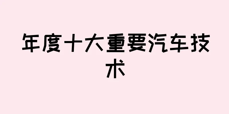 年度十大重要汽车技术