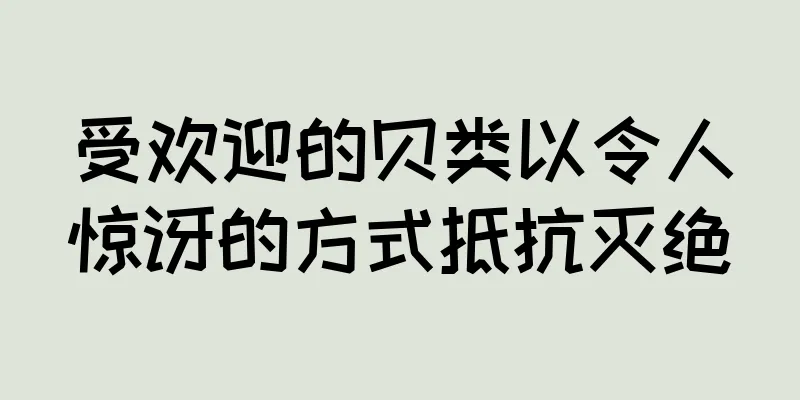 受欢迎的贝类以令人惊讶的方式抵抗灭绝