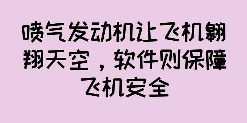 喷气发动机让飞机翱翔天空，软件则保障飞机安全