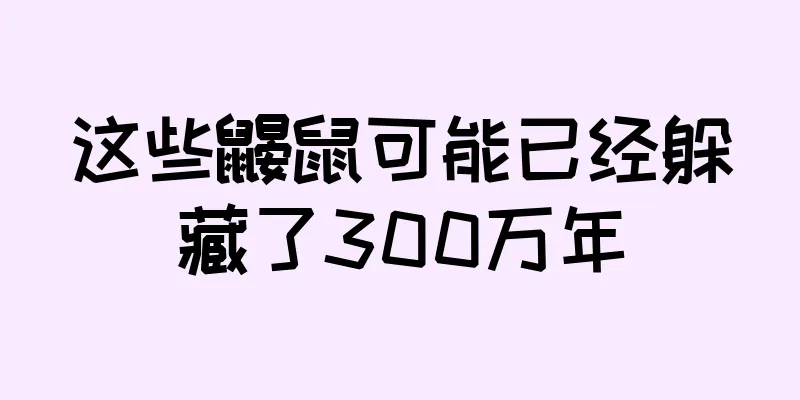 这些鼹鼠可能已经躲藏了300万年