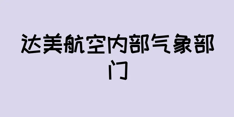 达美航空内部气象部门