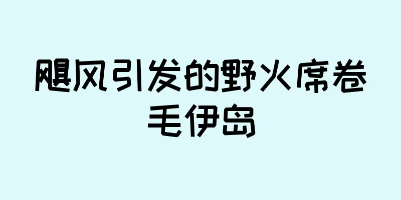 飓风引发的野火席卷毛伊岛