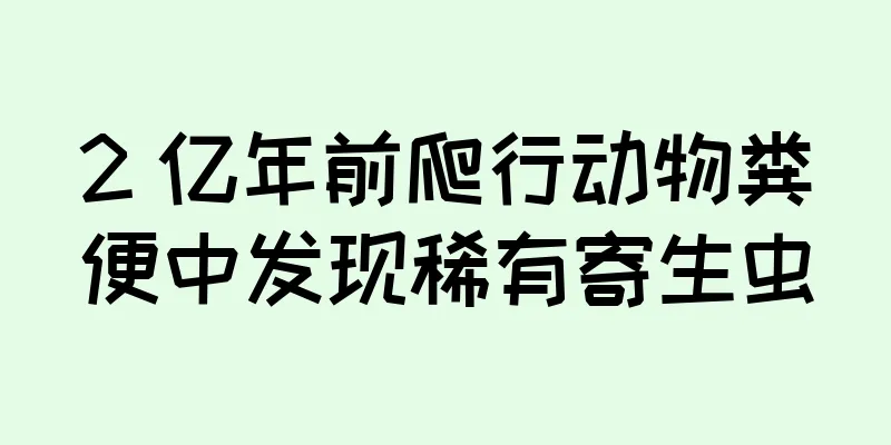 2 亿年前爬行动物粪便中发现稀有寄生虫