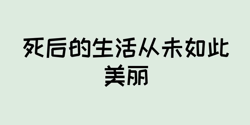 死后的生活从未如此美丽