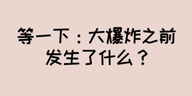 等一下：大爆炸之前发生了什么？