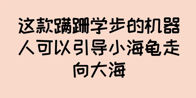 这款蹒跚学步的机器人可以引导小海龟走向大海