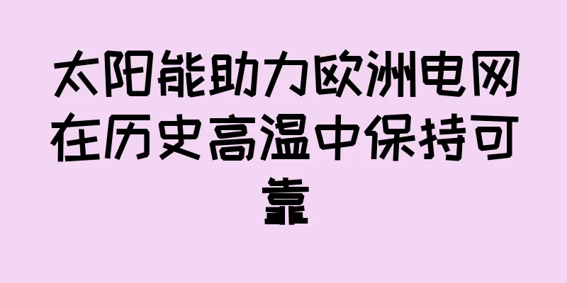 太阳能助力欧洲电网在历史高温中保持可靠