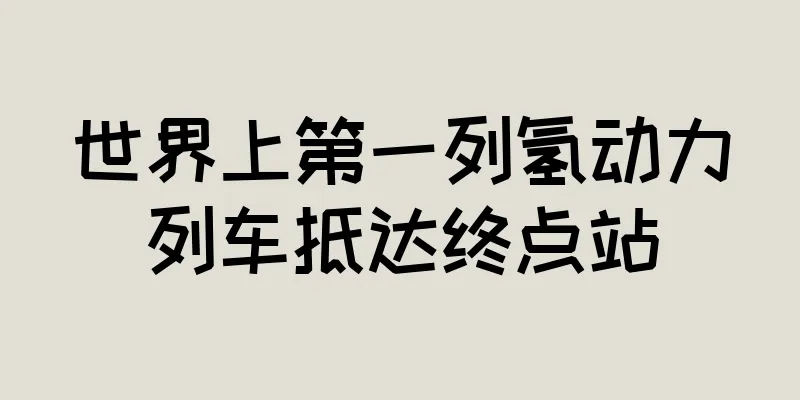 世界上第一列氢动力列车抵达终点站