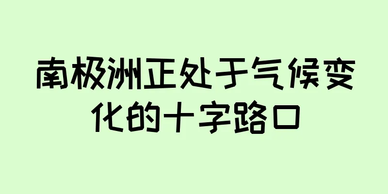 南极洲正处于气候变化的十字路口