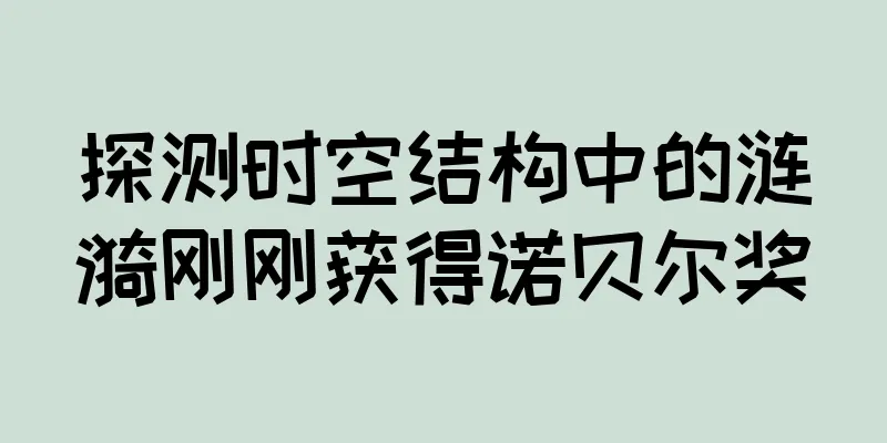 探测时空结构中的涟漪刚刚获得诺贝尔奖