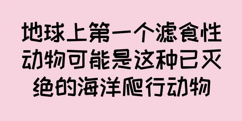 地球上第一个滤食性动物可能是这种已灭绝的海洋爬行动物