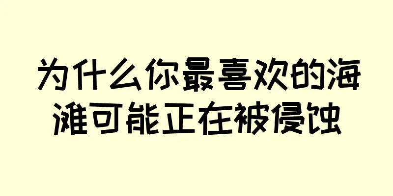 为什么你最喜欢的海滩可能正在被侵蚀