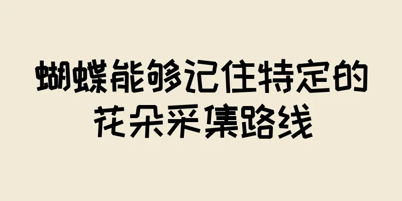 蝴蝶能够记住特定的花朵采集路线