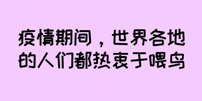 疫情期间，世界各地的人们都热衷于喂鸟