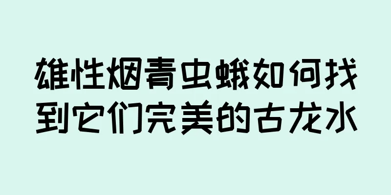 雄性烟青虫蛾如何找到它们完美的古龙水