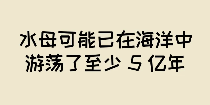 水母可能已在海洋中游荡了至少 5 亿年