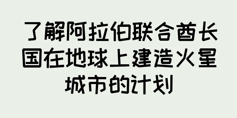 了解阿拉伯联合酋长国在地球上建造火星城市的计划