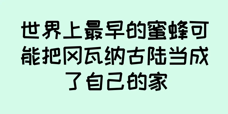 世界上最早的蜜蜂可能把冈瓦纳古陆当成了自己的家