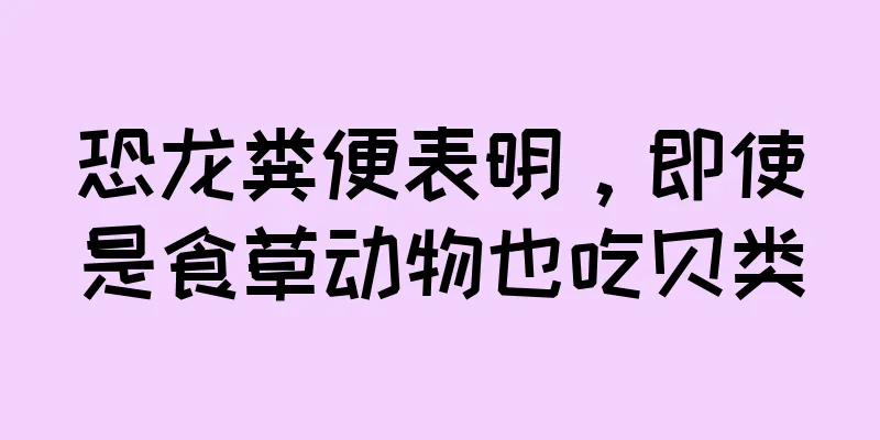 恐龙粪便表明，即使是食草动物也吃贝类