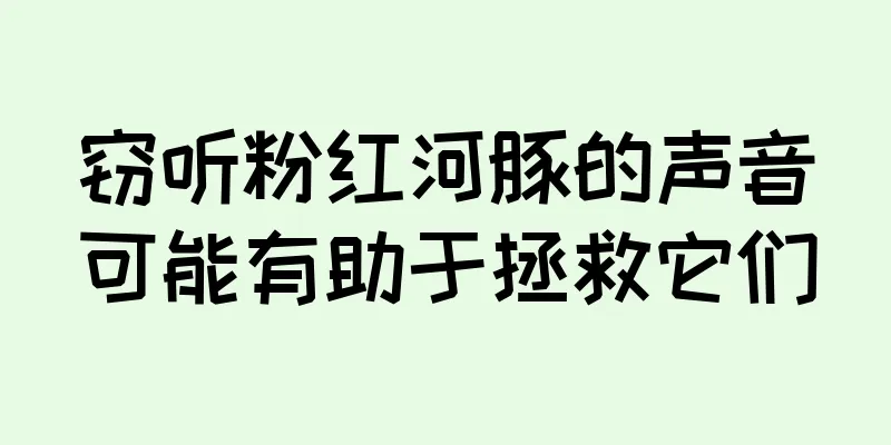 窃听粉红河豚的声音可能有助于拯救它们