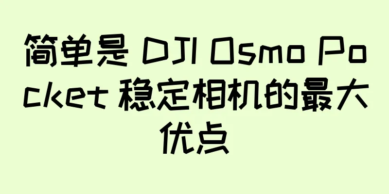 简单是 DJI Osmo Pocket 稳定相机的最大优点