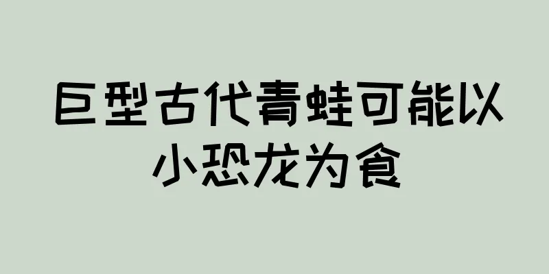 巨型古代青蛙可能以小恐龙为食