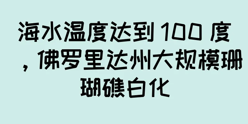 海水温度达到 100 度，佛罗里达州大规模珊瑚礁白化