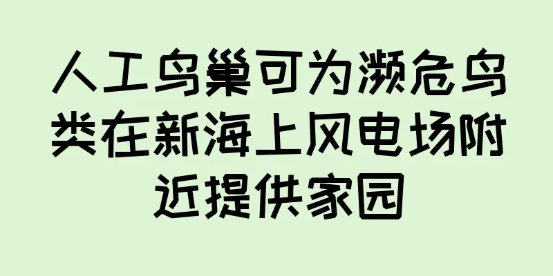人工鸟巢可为濒危鸟类在新海上风电场附近提供家园