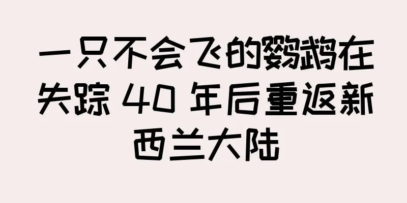 一只不会飞的鹦鹉在失踪 40 年后重返新西兰大陆
