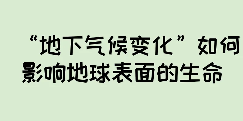 “地下气候变化”如何影响地球表面的生命