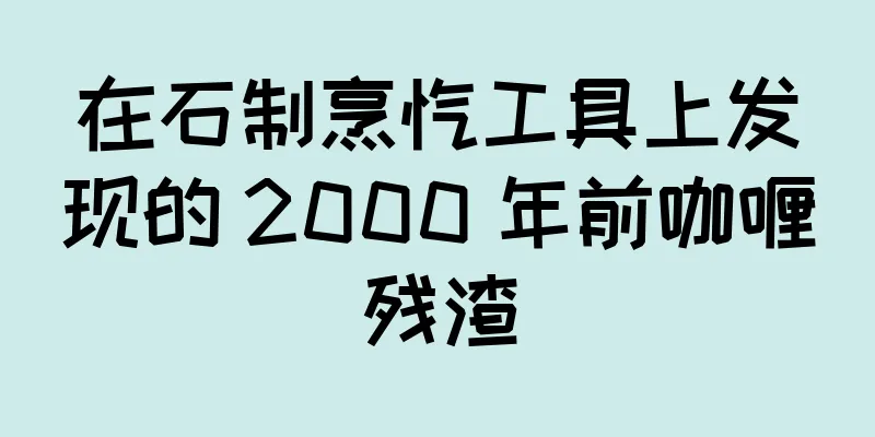 在石制烹饪工具上发现的 2000 年前咖喱残渣