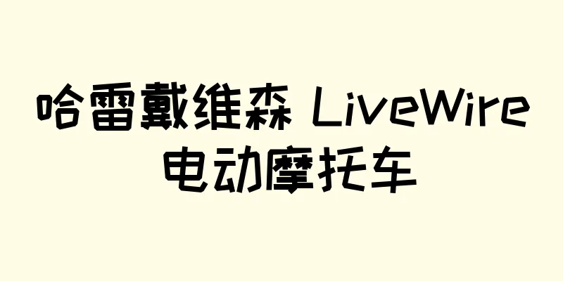哈雷戴维森 LiveWire 电动摩托车