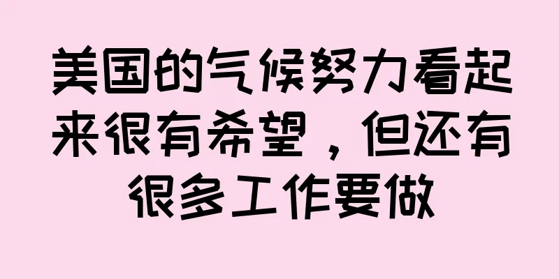 美国的气候努力看起来很有希望，但还有很多工作要做