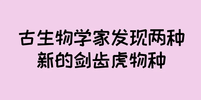 古生物学家发现两种新的剑齿虎物种