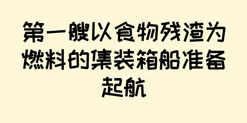 第一艘以食物残渣为燃料的集装箱船准备起航