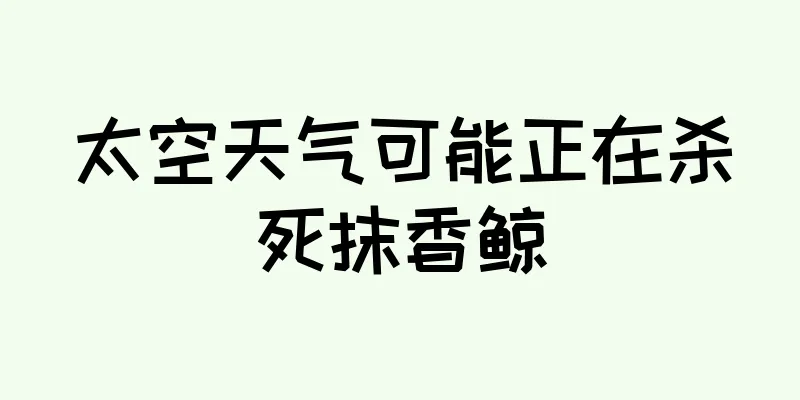 太空天气可能正在杀死抹香鲸