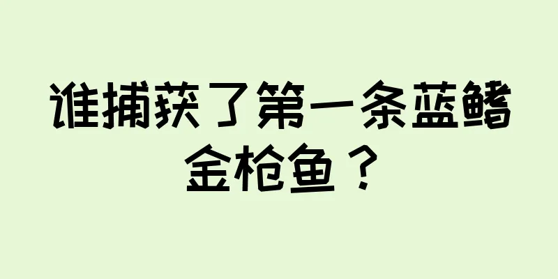 谁捕获了第一条蓝鳍金枪鱼？