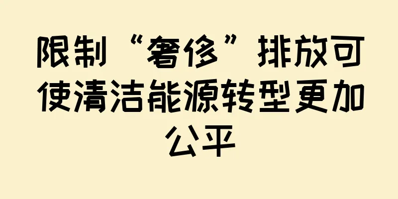 限制“奢侈”排放可使清洁能源转型更加公平