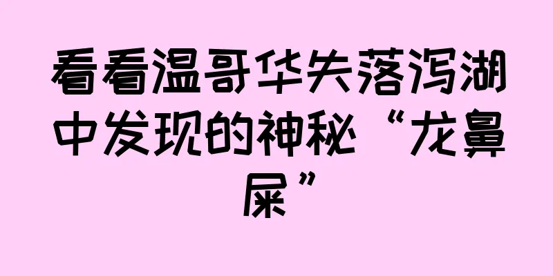 看看温哥华失落泻湖中发现的神秘“龙鼻屎”