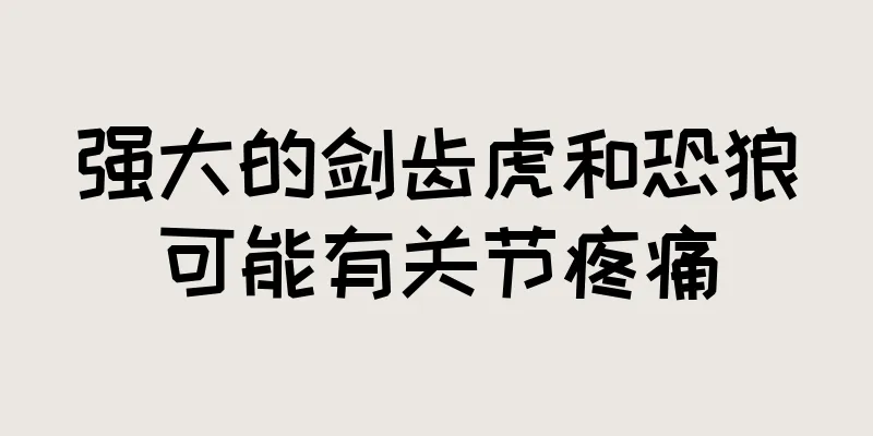 强大的剑齿虎和恐狼可能有关节疼痛