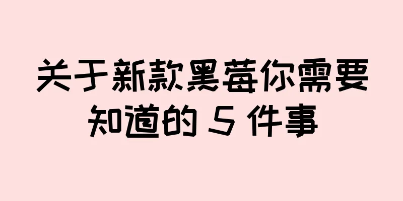 关于新款黑莓你需要知道的 5 件事