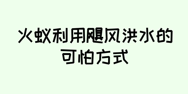 火蚁利用飓风洪水的可怕方式